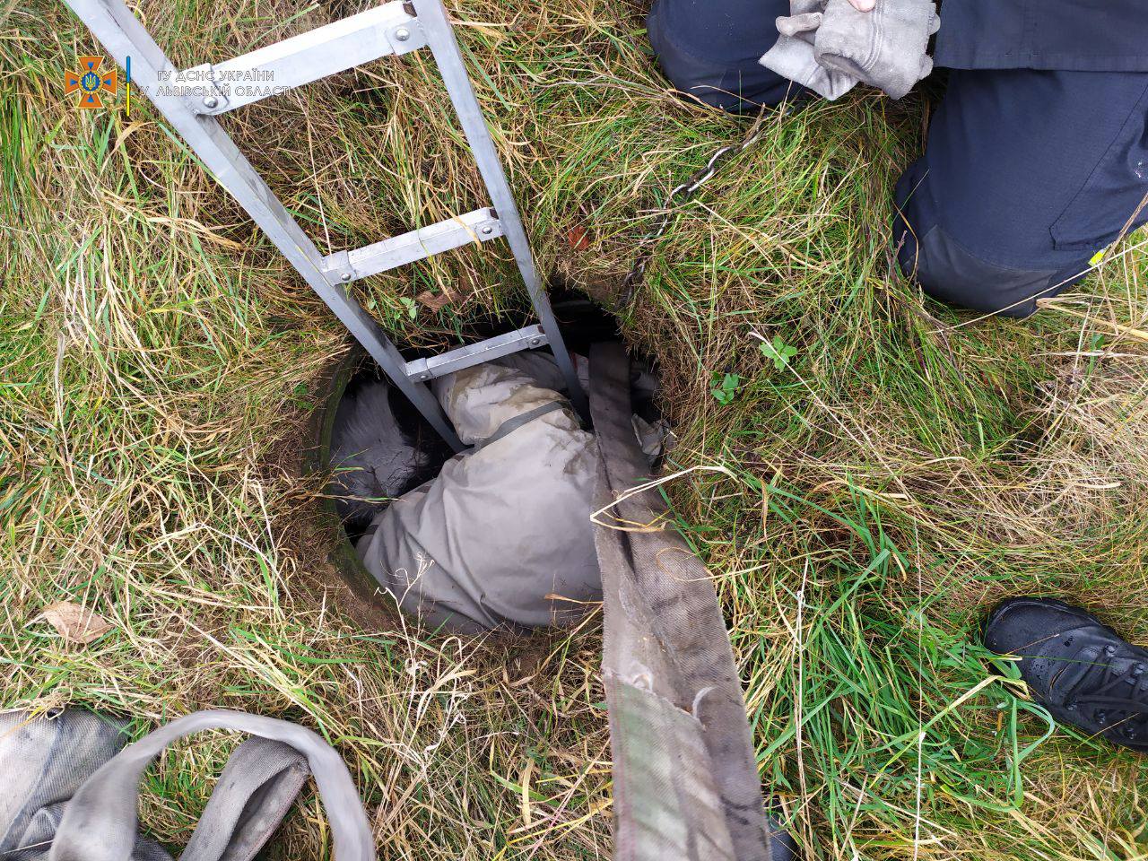 Рятувальники з Винників дістали з колодязя теля, яке не могло самостійно вибратися. Фото: lv.dsns.gov.ua.