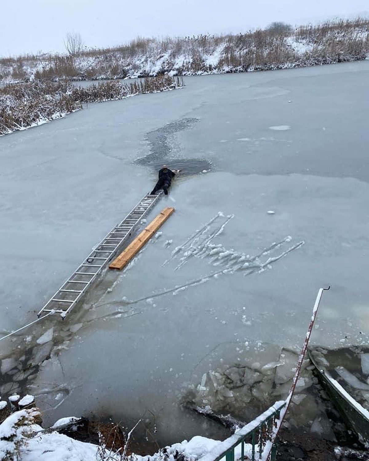 У Червонограді чоловік, ризикуючи власним життям, врятував собаку, який провалився під лід