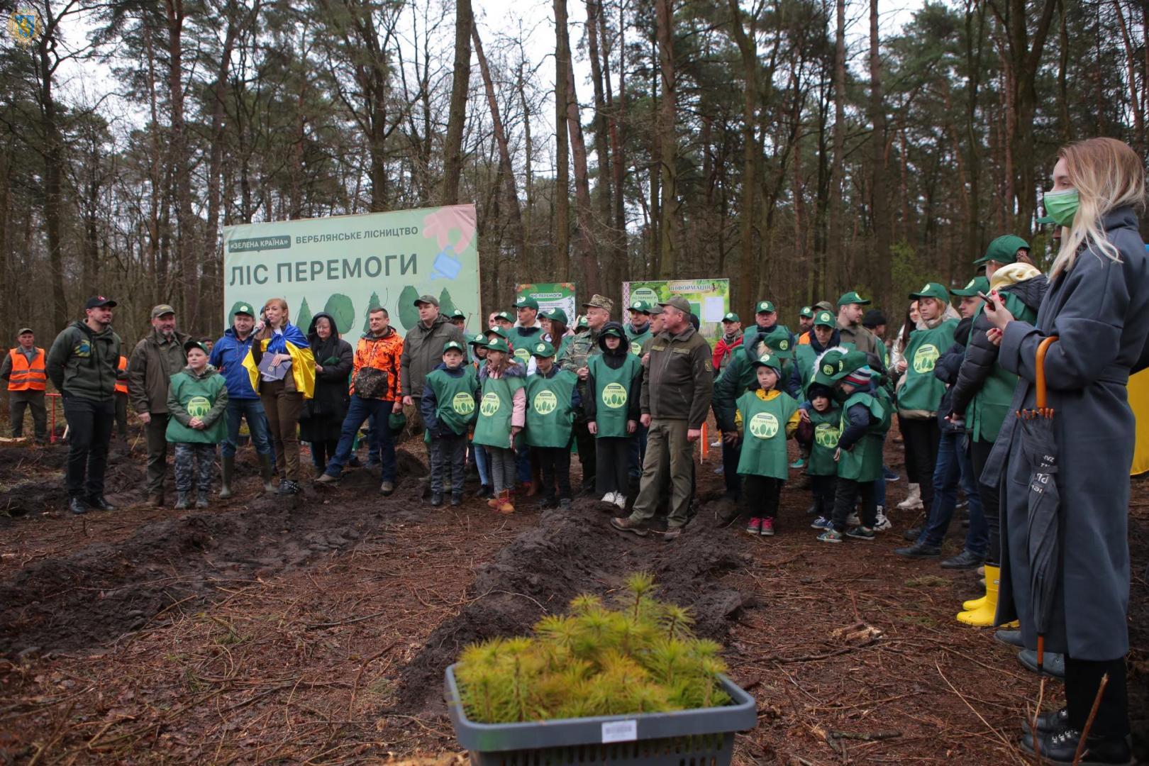 У Львівській області за день висадили 50 тисяч дубів та сосен.