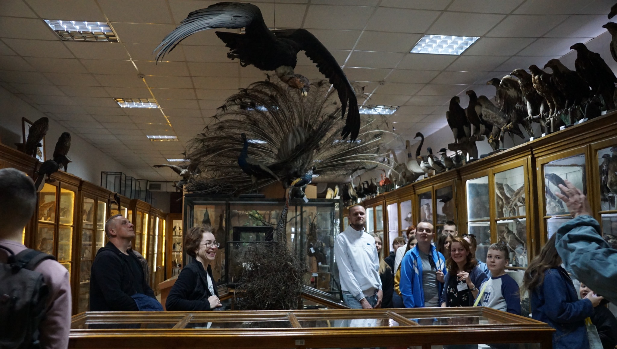 Фото: facebook.com/ZooMuseumLNU