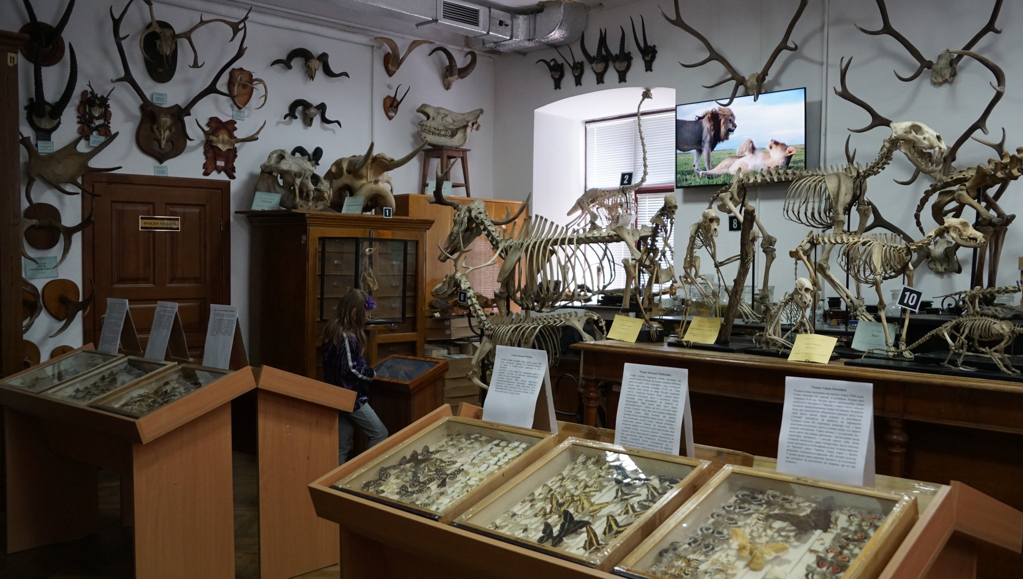 Втрачене – збережене біорізноманіття.