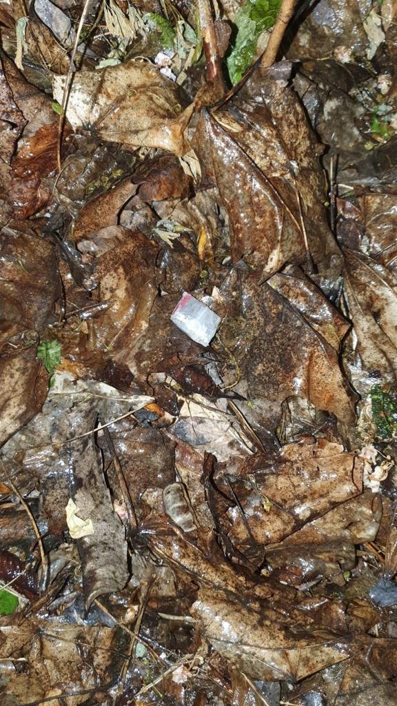 У львівському парку затримали 21-річну дівчину під час того, як вона ховала закладки з наркотиками під деревами.