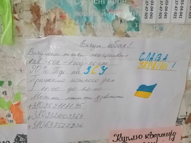 У Червонограді діти вигуляють собак, аби назбирати грошей для ЗСУ.