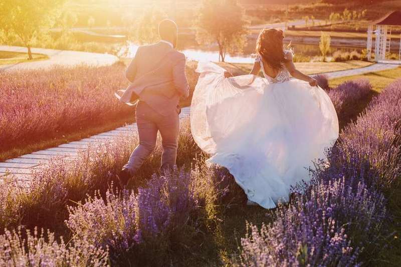 Лавандові поля у Stavky Country Club.