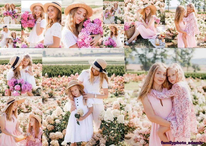 Інстаграмна локація: біля Львова заквітли гортензієві поля.