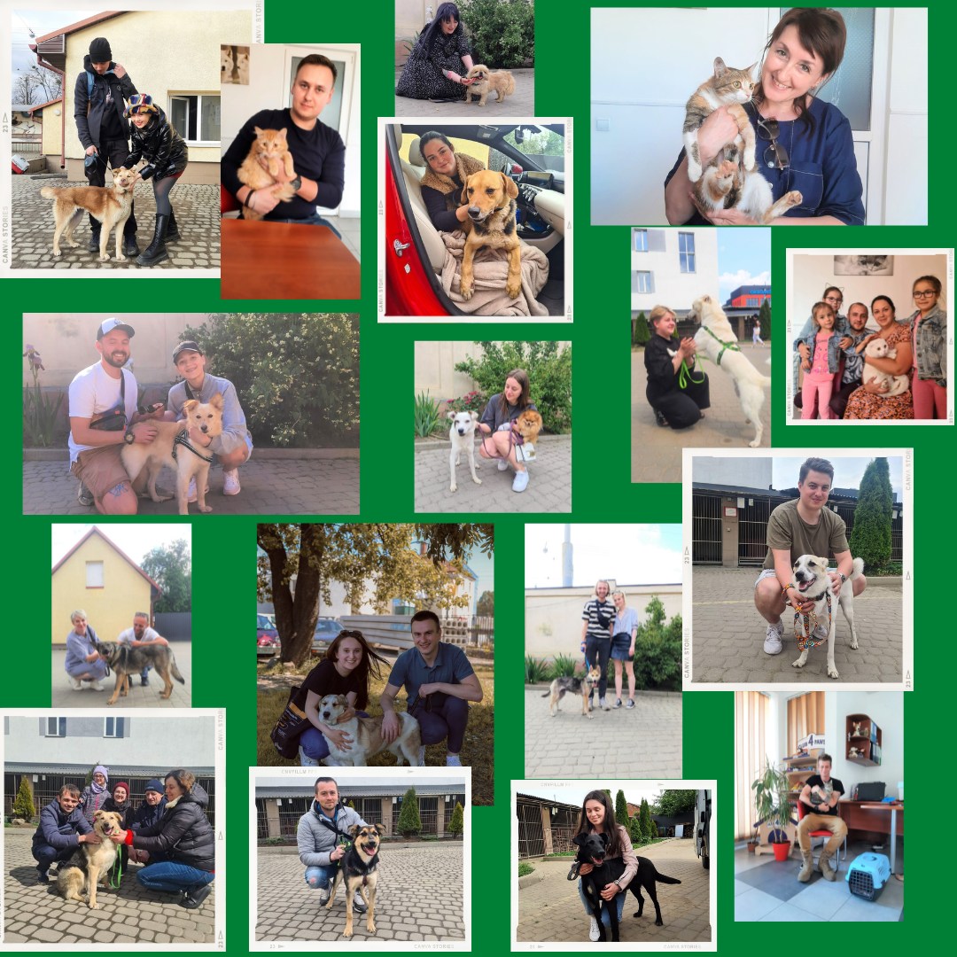 Фото: facebook.com/lvivlkplev