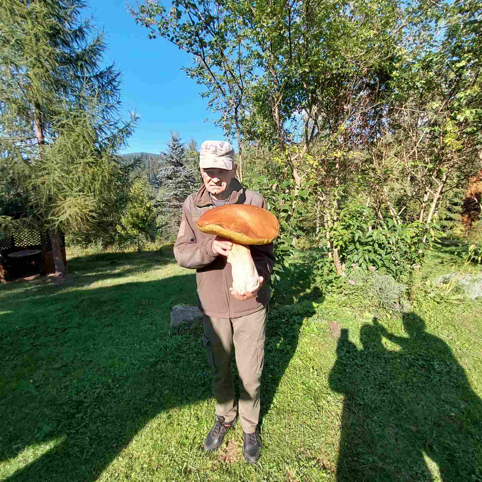 У Карпатах чоловік знайшов гігантського білого гриба — фото. || Фото: facebook.com/CarpathianNNP.