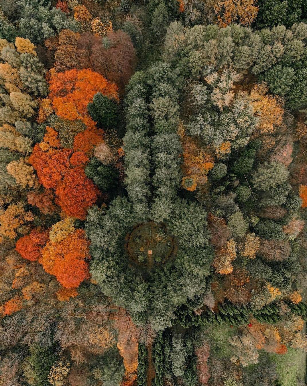 Інстаграмна локація: арборетум у селі Страдч — ідеальне місце для осінньої фотосесії.