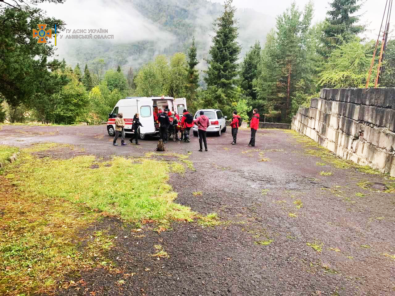 У лісі в Стрийському районі Львівської області усю ніч шукали чоловіка, який пішов за грибами та зник.