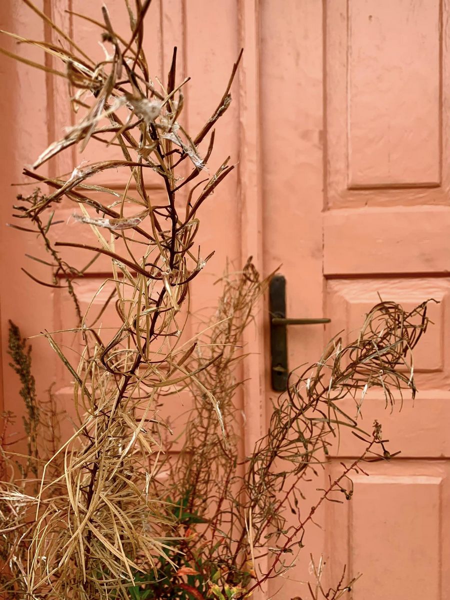 Біля Свірзького замку на Львівщині ревіталізувала і виставили на продаж стару хату під черепицею та з п'єцами &mdash; ціна.