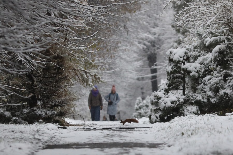 У Львові випав перший сніг.