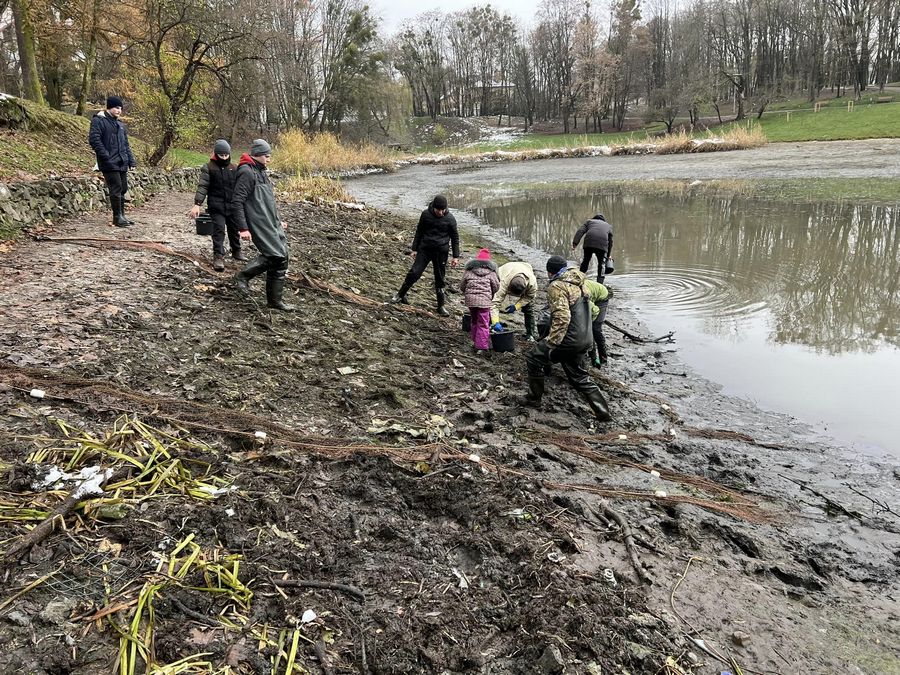 Після спуску води у Піскових озерах у Львові виловили 40 кг риби, рака і черепаху.