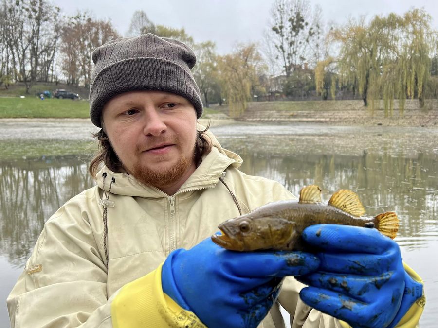 Після спуску води у Піскових озерах у Львові виловили 40 кг риби, рака і черепаху.