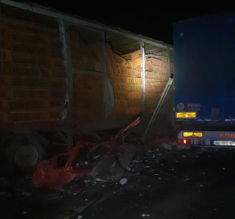 В автомобільній трощі біля Олеська загинули двоє людей &mdash; фото з місця ДТП.