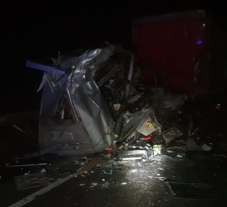 В автомобільній трощі біля Олеська загинули двоє людей &mdash; фото з місця ДТП.