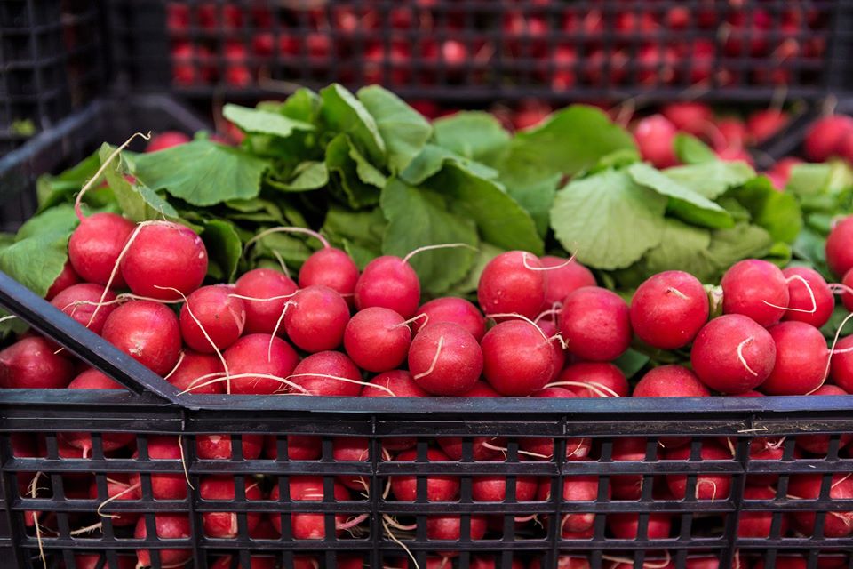 Під час карантину "Шувар" працюватиме в особливому режимі.