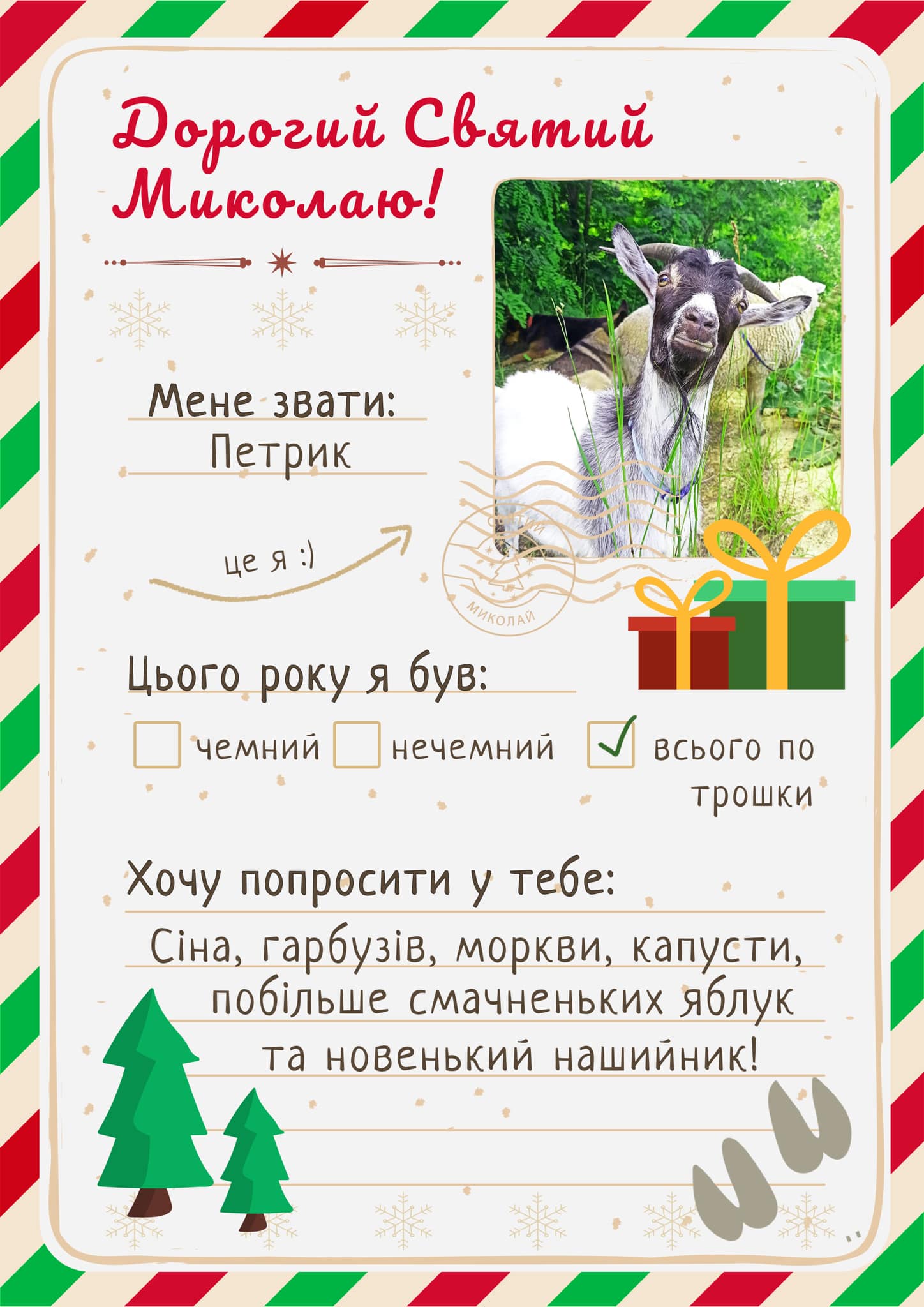 Мешканці Домівки врятованих тварин "написали" листи святому Миколаю — чим допомогти.