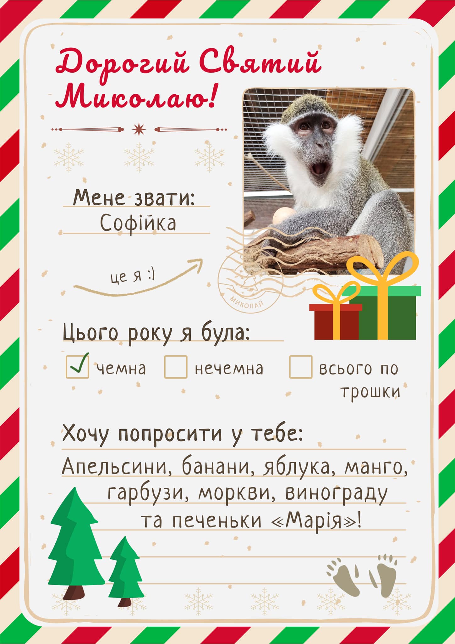 Мешканці Домівки врятованих тварин "написали" листи святому Миколаю — чим допомогти.