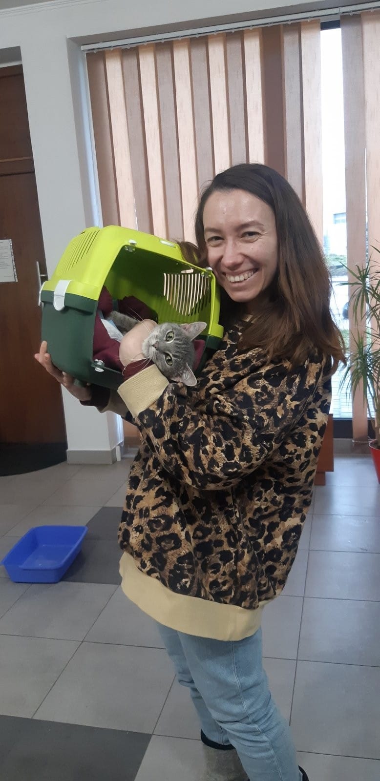 З початку 2023 року у Львові "всиновили" дев'ятьох котів і собак — фото щасливчиків.