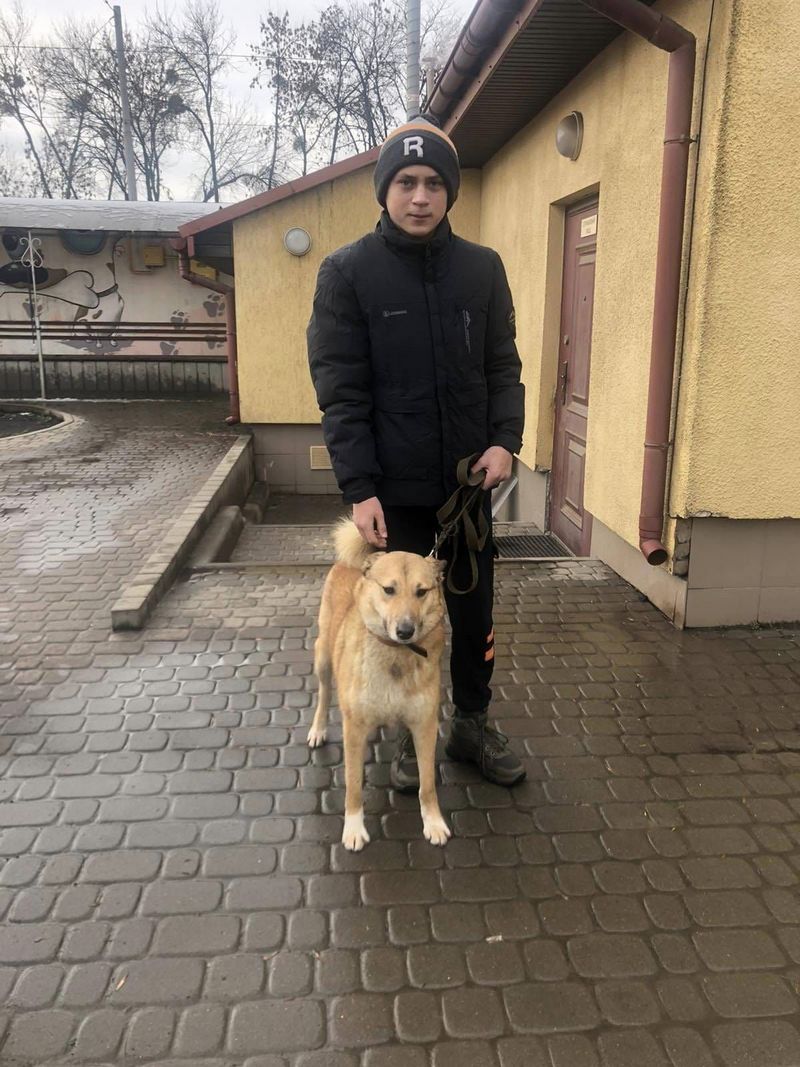 З початку 2023 року у Львові "всиновили" дев'ятьох котів і собак — фото щасливчиків.