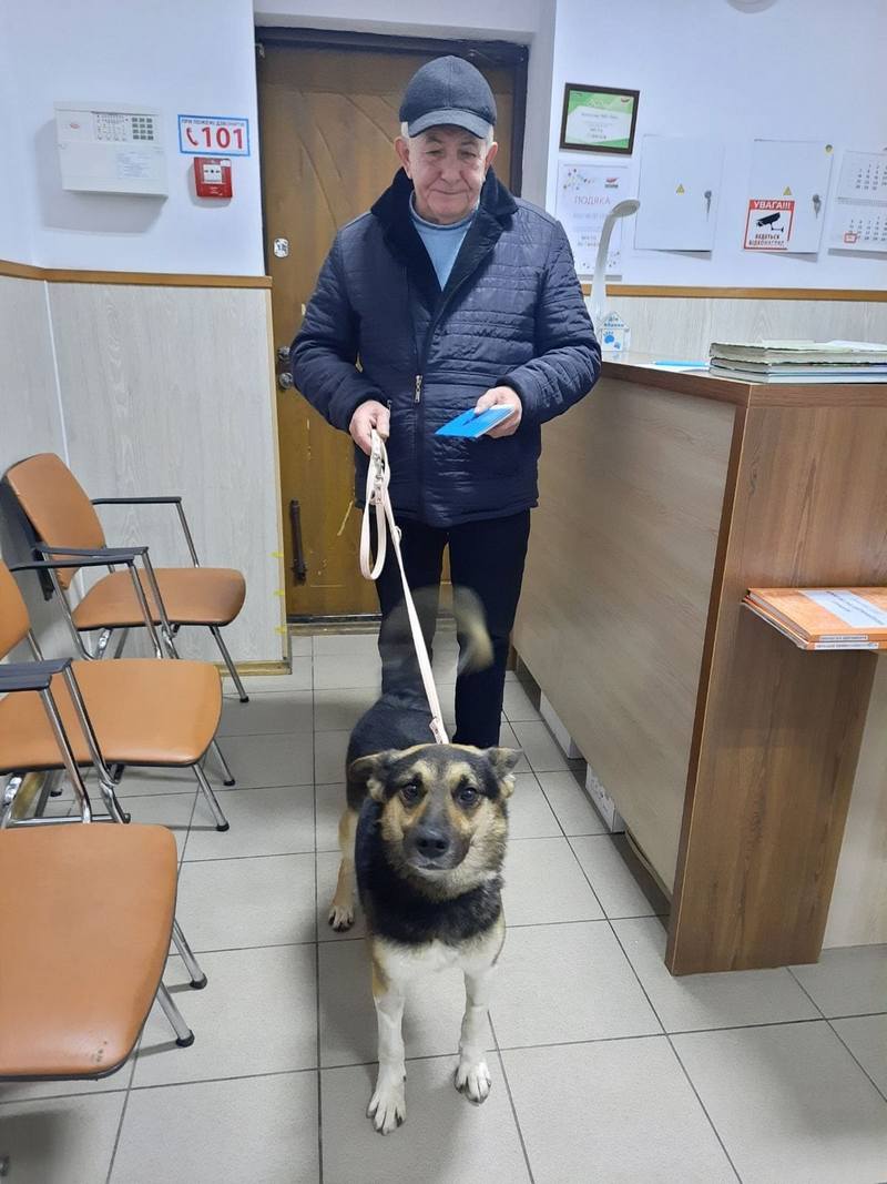 З початку 2023 року у Львові "всиновили" дев'ятьох котів і собак — фото щасливчиків.