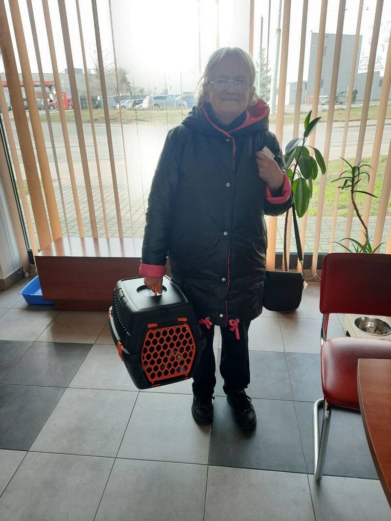 З початку 2023 року у Львові "всиновили" дев'ятьох котів і собак — фото щасливчиків.