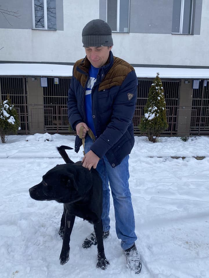 З початку 2023 року у Львові "всиновили" дев'ятьох котів і собак — фото щасливчиків.