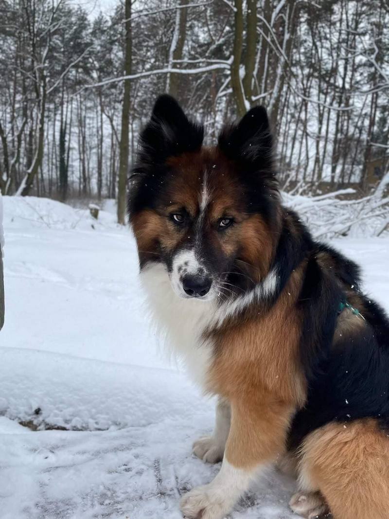 Джейк (він же Барні) у горах.