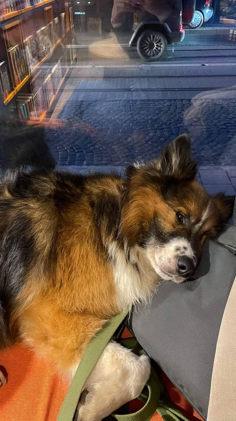 Джейк (він же Барні) в кав'ярні.