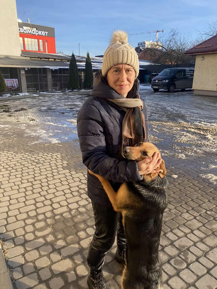 За два тижні 14 львівських бездомних котів і собак знайшли нові родини — фото щасливців.