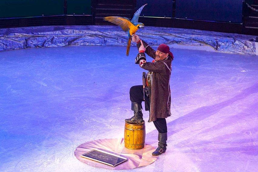 Льодове королівство. Циркове шоу.