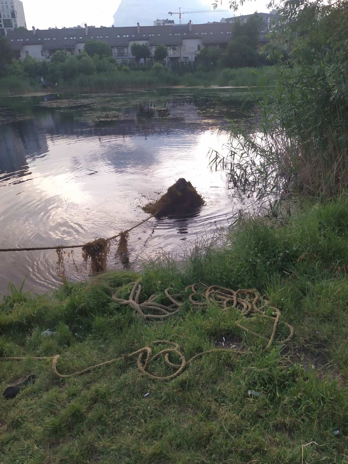 У водоймі на території ресторану &laquo;Гуцульська гражда&raquo; у Львові втопився чоловік.