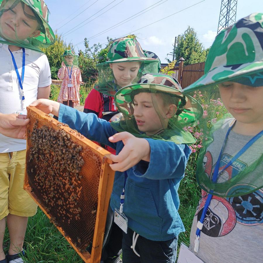 Пасіка Відпочинок на вуликах у Раковці.