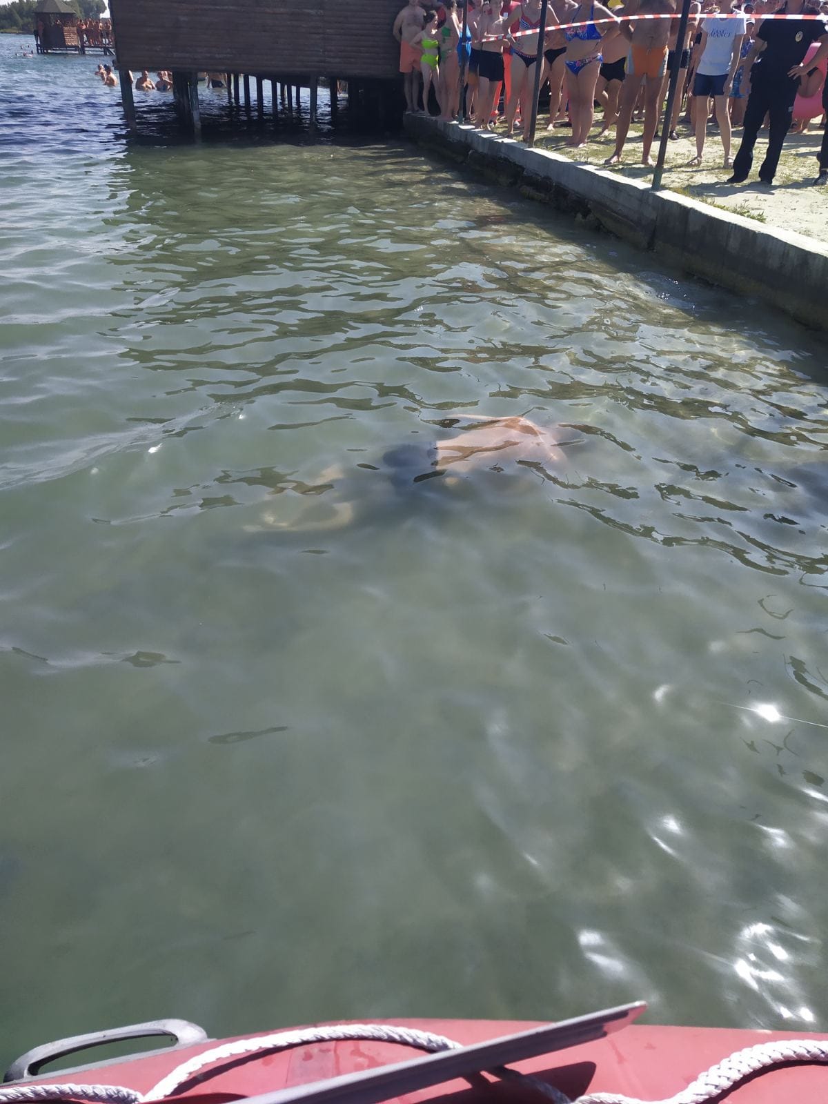 У відпочинковому комплексі в Задорожньому втопився львів'янин.