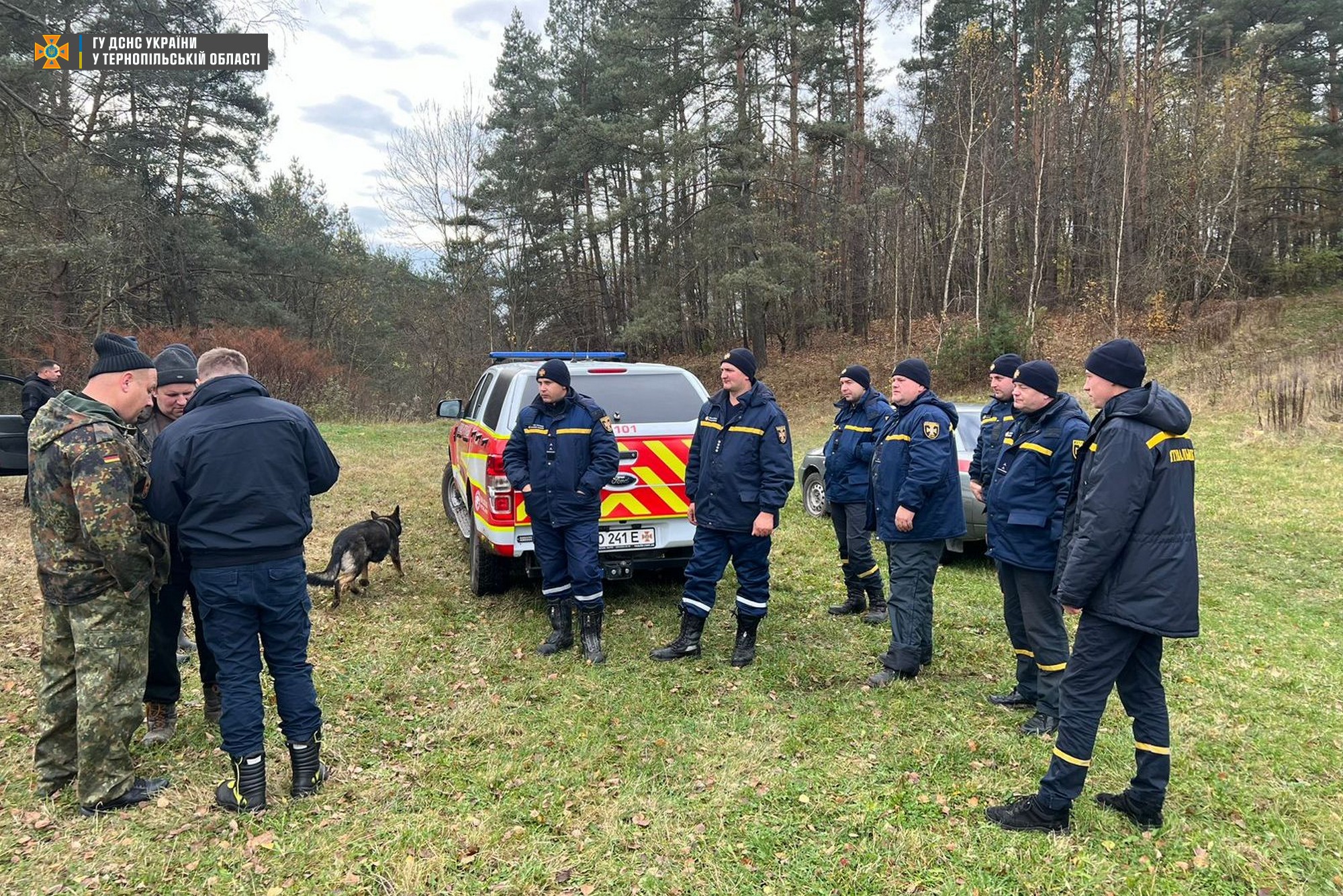 У лісі на Львівщині знайшли зниклого у сусідній області грибника.