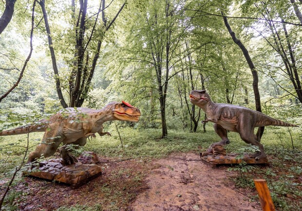 Парк розваг «УРУРУ». Фото організаторів.