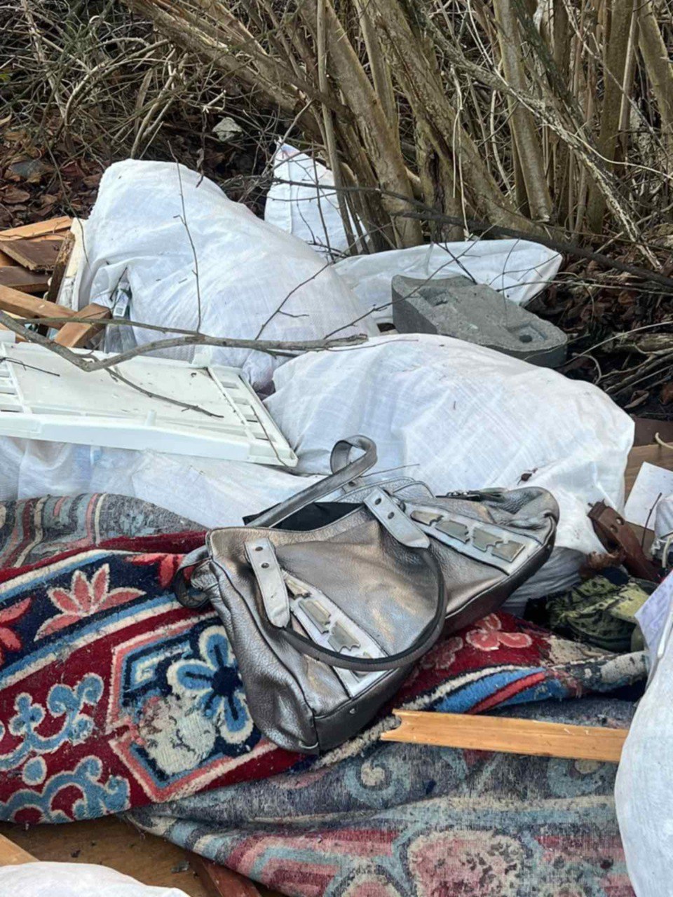 Львів'янин втрапив у фотопастку під час викидання сміття біля дороги.