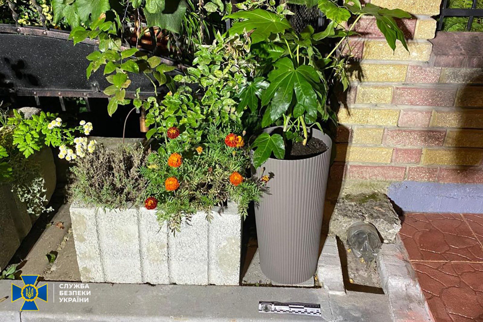 У Львові двоє неповнолітніх на замовлення Росії намагалися підірвати будинок військового.