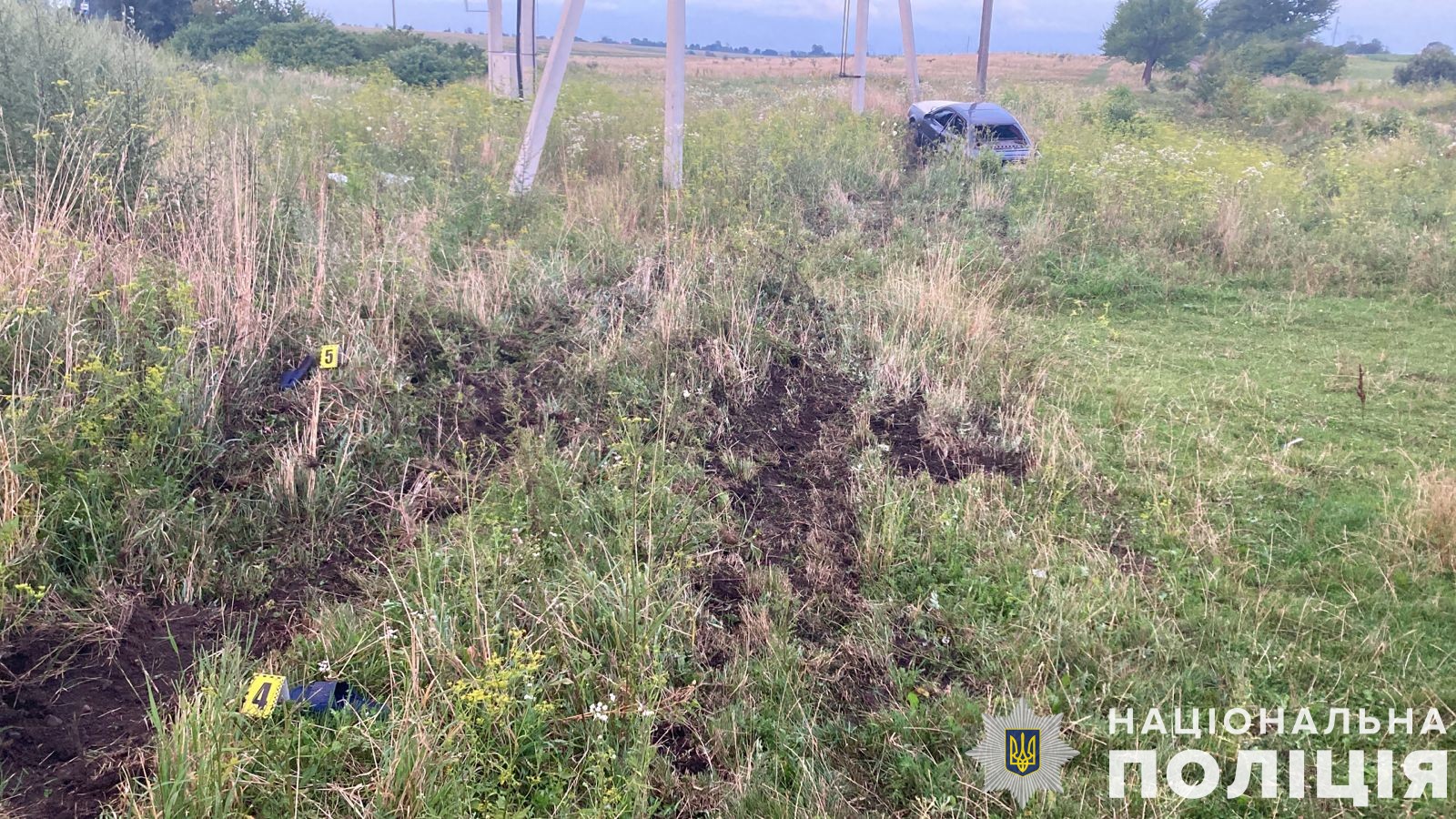 У ДТП неподалік Львова загинула жінка, яка переводила через дорогу корову. || Фото: lv.npu.gov.ua.