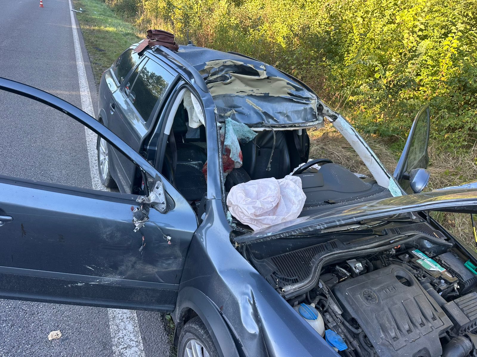 На Львівщині лось наскочив на автомобіль, загинула людина: фото.