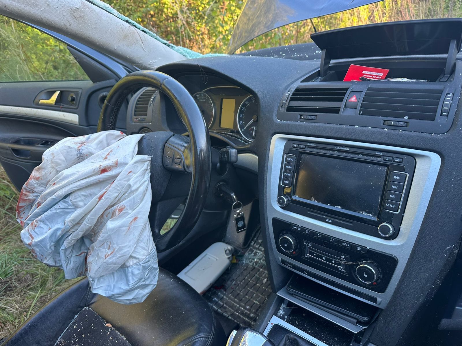 На Львівщині лось наскочив на автомобіль, загинула людина: фото.