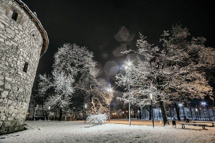 Львів казково засипало снігом