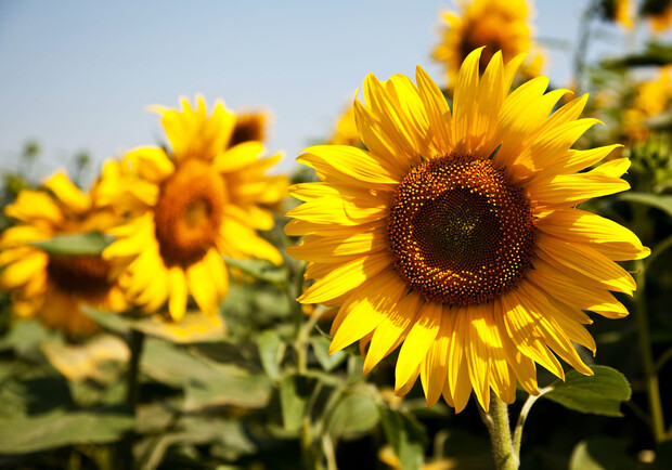 Фотовиставка "Моменти життя" у Львові.