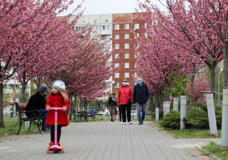 На сакури до Львова.