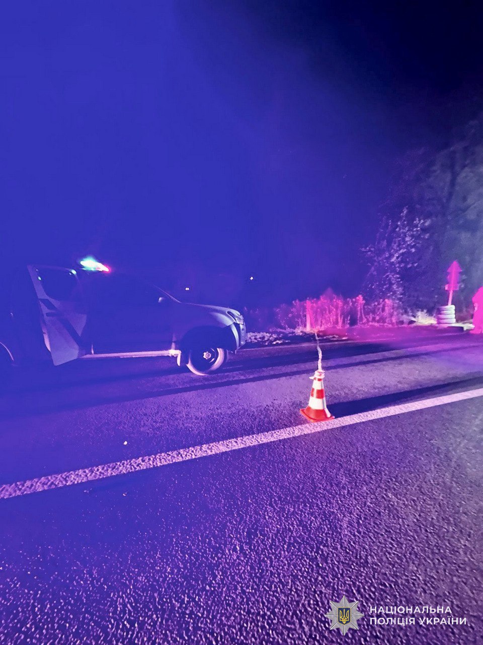 У Рудках водій під час спілкування з поліцією підірвав гранату.