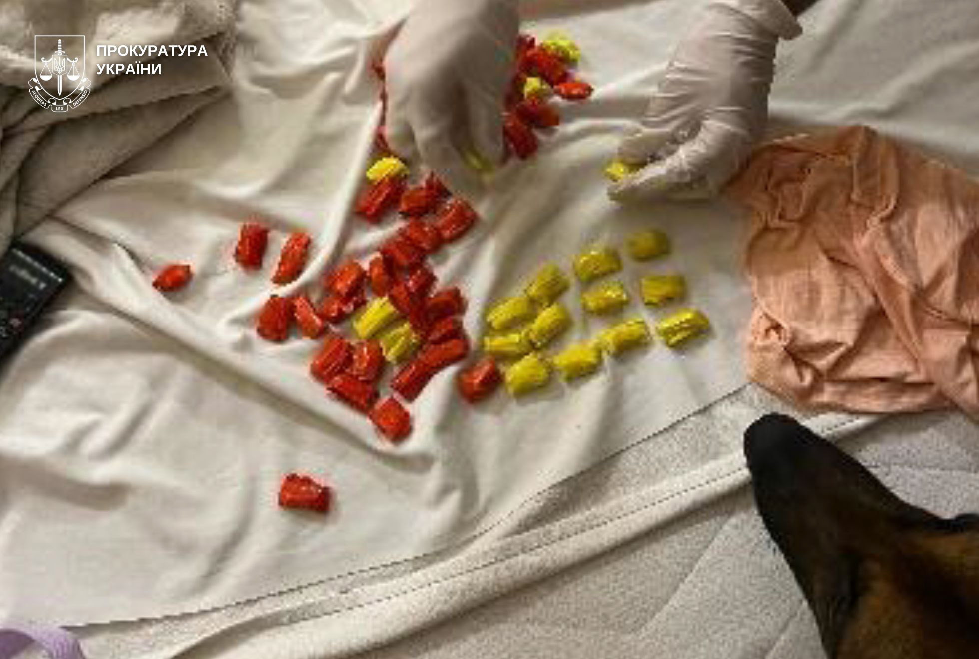 У Львовів 22-річна полтавка з 5-річною донькою ховали «закладки» поблизу дитячих майданчиків: фото.