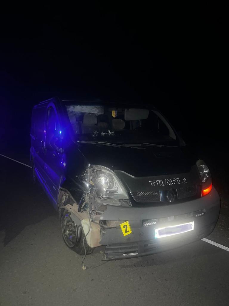 На Львівщині мікроавтобус на смерть збив 14-річну дівчину в інвалідному візку.