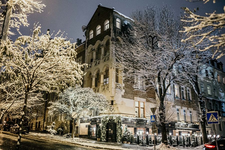 Львів казково засипало снігом