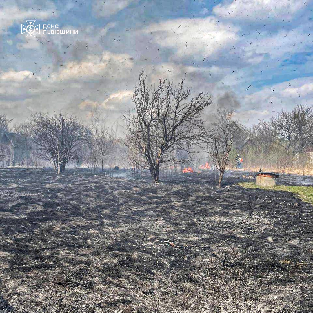 На Львівщині у масштабній пожежі на дачному кооперативі загинув чоловік.