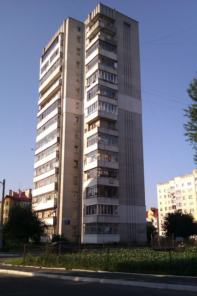 З сихівської багатоповерхівки випав чоловік. Фото: Mapio.net